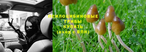 бошки Беломорск