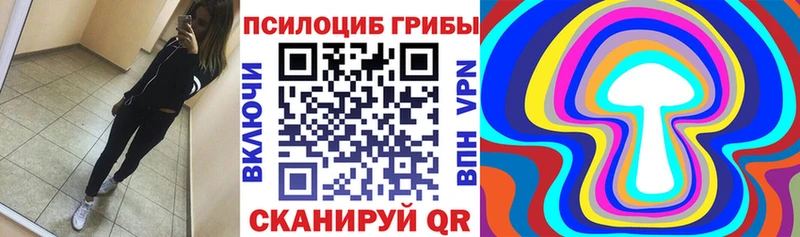 Купить закладки Бутурлиновка Псилоцибиновые грибы Cubensis